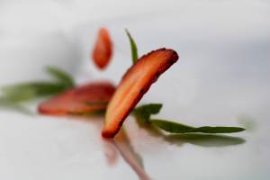 Stephane AUPETIT - STEPHANE AUPETIT PHOTOGRAPHIE